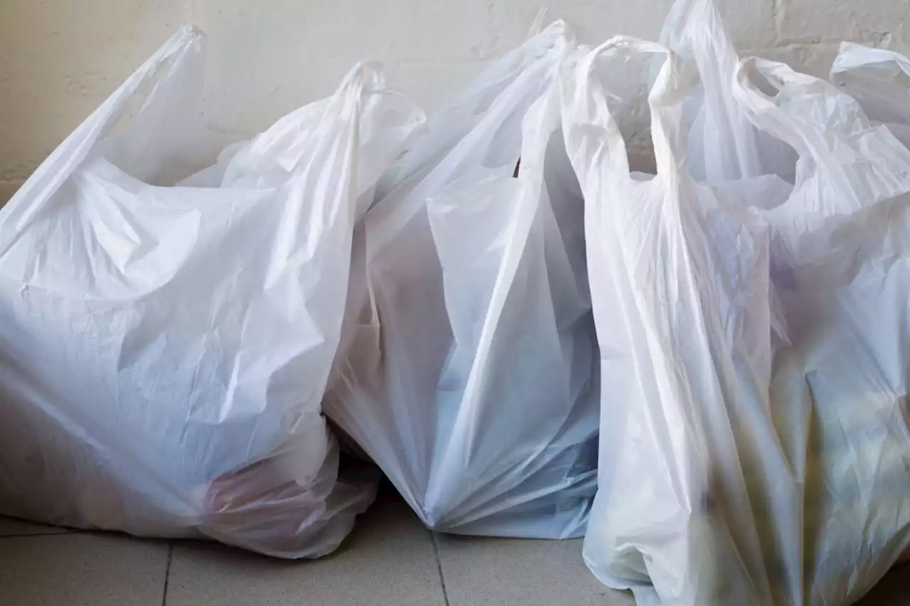 City-wide plastic bag ban begins next week