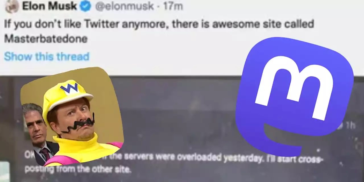 Elon Musk called Twitter competitor Mastodon 'Masterbatedone', which isn't even a good pun - SoyaCincau