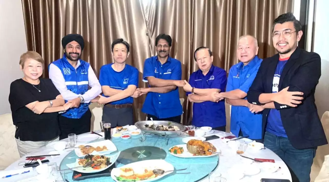 GE15: Batu MCA fully backs MIC candidate in effort to secure Barisan win