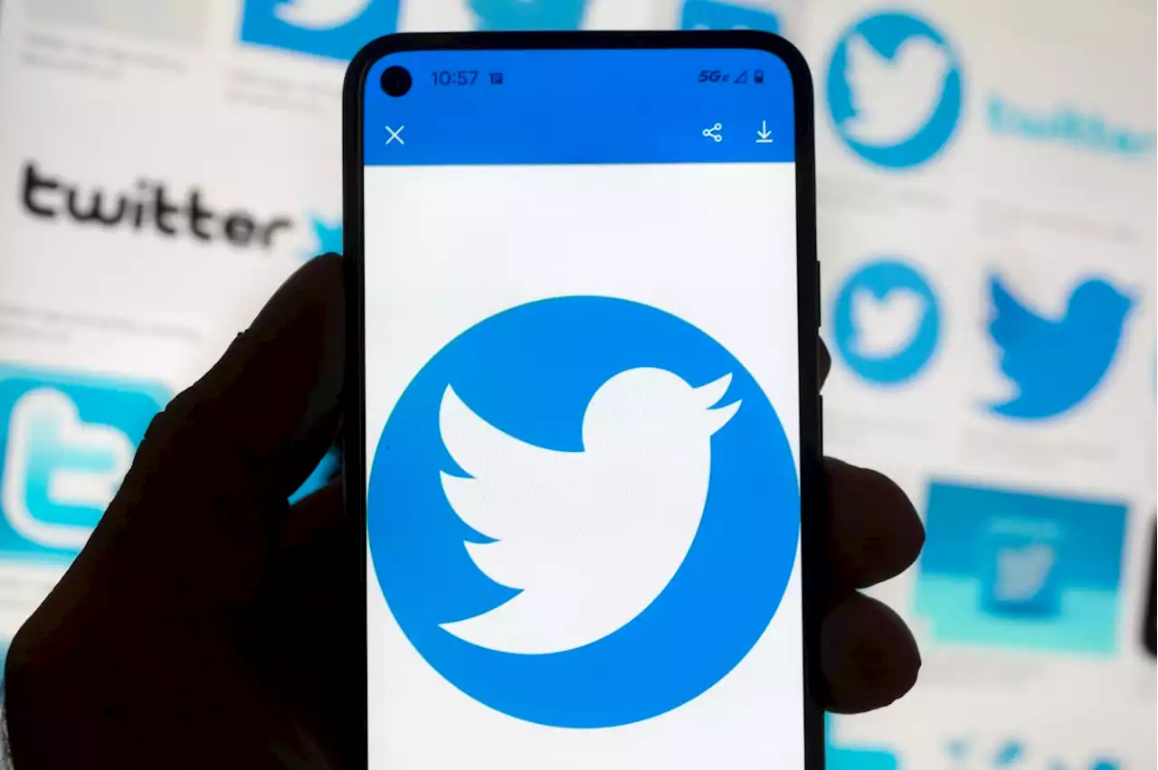 Twitter&rsquo;s new verification model brings rise in fake accounts