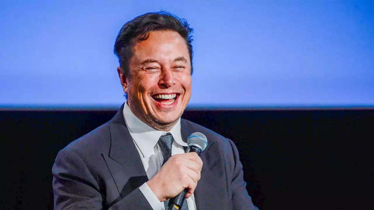 Elon Musk's Twitter Blue Check verification system is a worthless joke