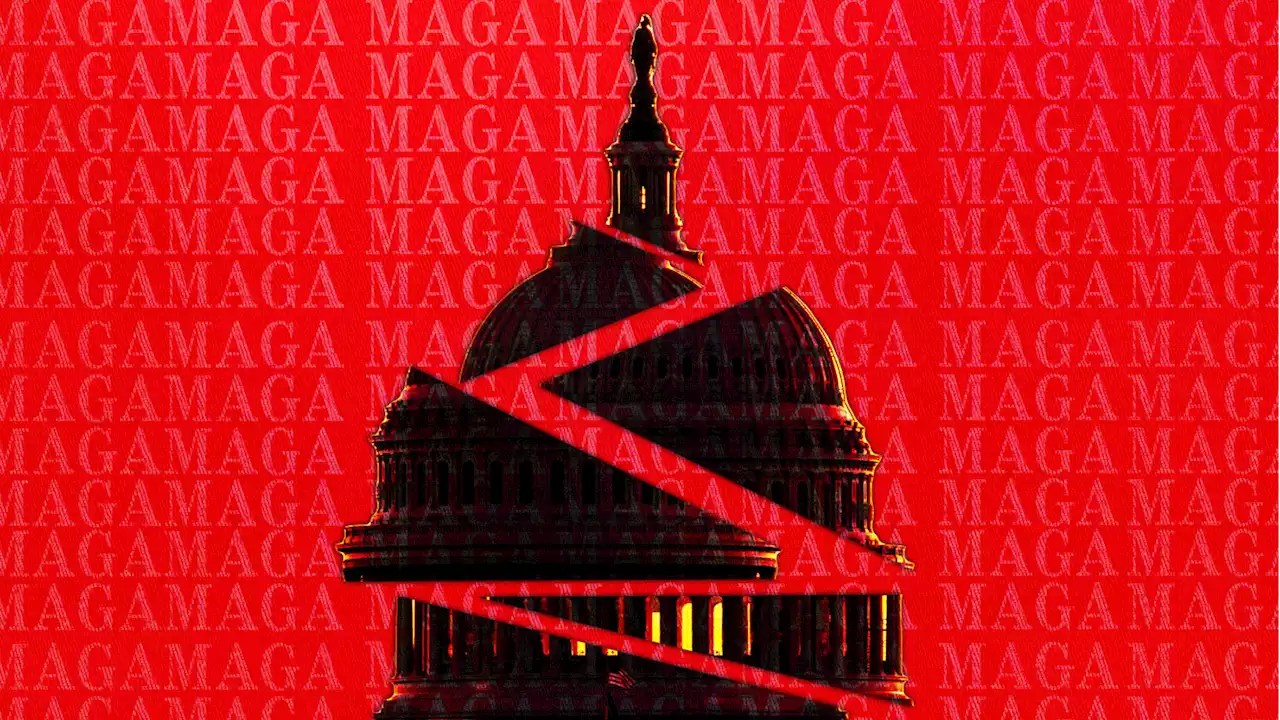 Get Ready for the House of MAGA Representatives