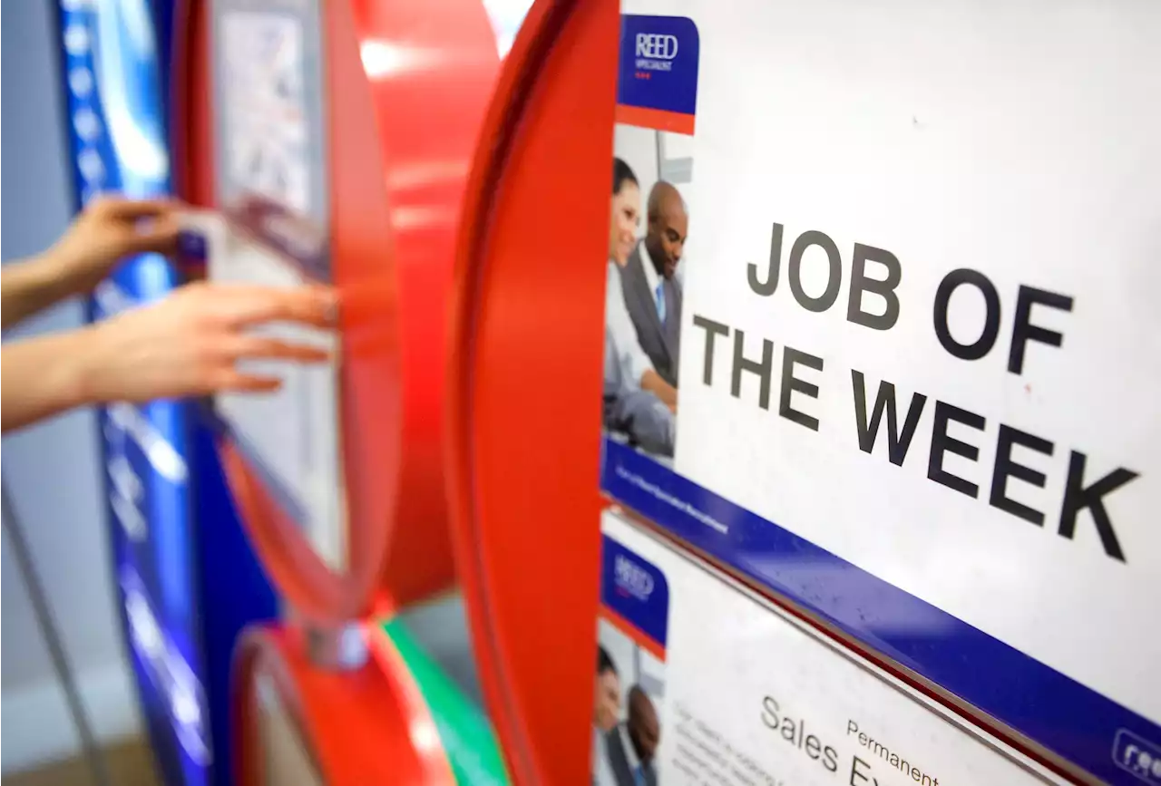 Recession fears end jobs boom as firms freeze hiring and wage hikes slow