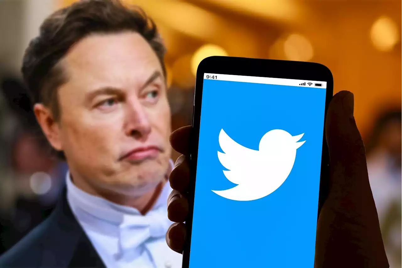 Elon Musk Changes His Mind On Twitter Ticks