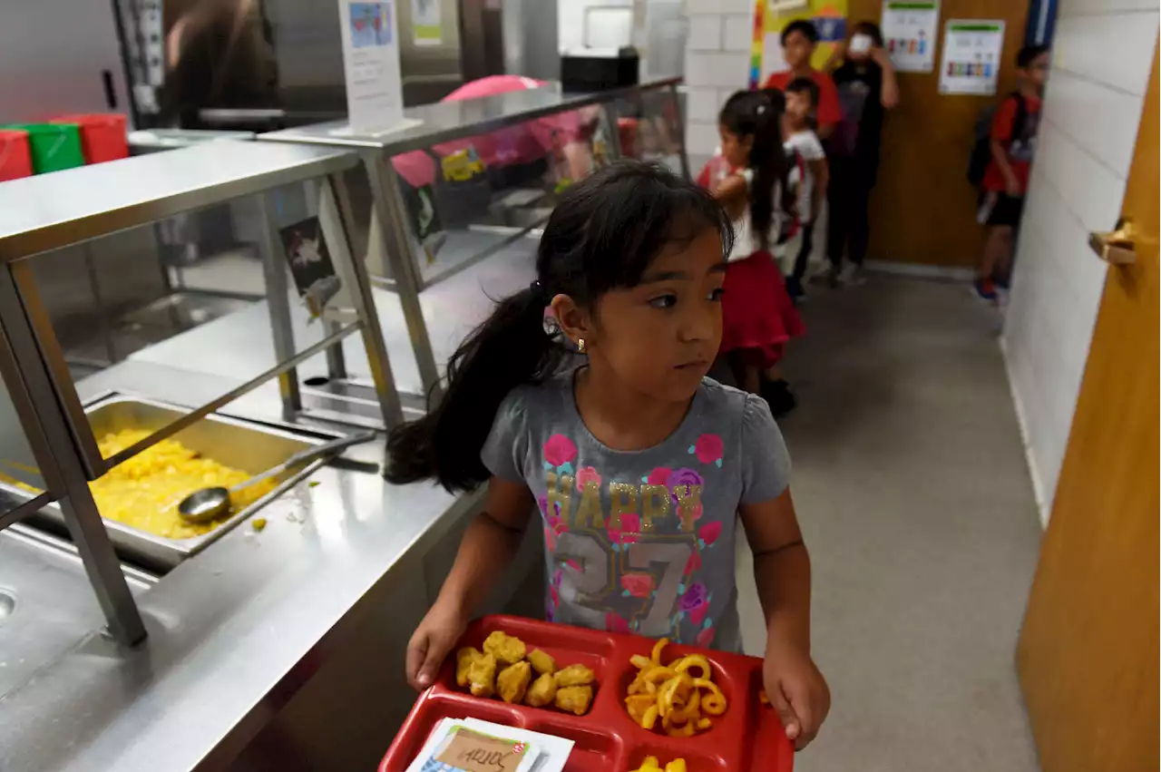 Colorado Votes to Provide Universal Free School Meals by Taxing the Wealthy