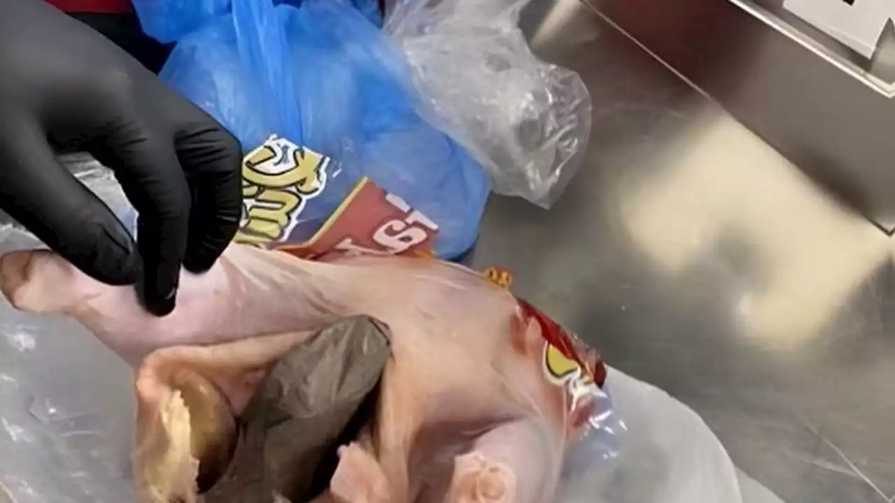 Florida TSA searched a traveler's chicken at the airport. They found a gun inside.