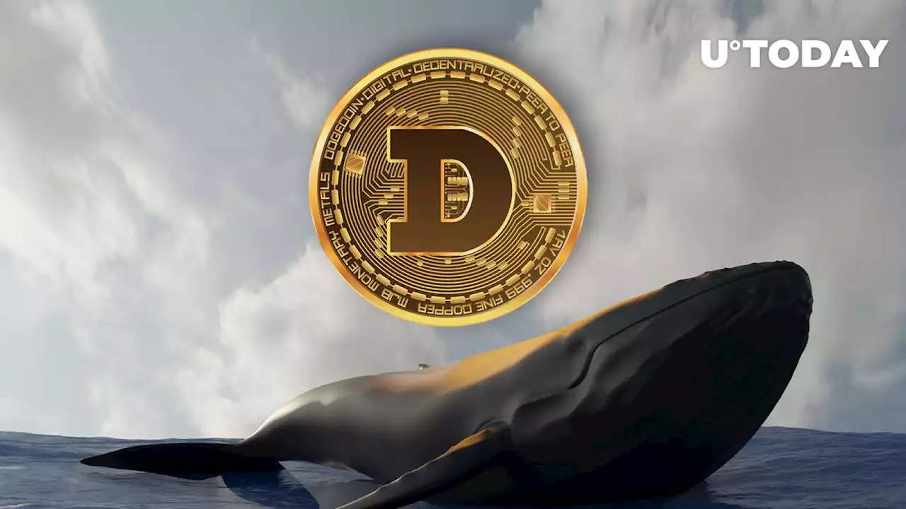 3rd Biggest Dogecoin Whale Moves Billions of DOGE as Anon Wallets Shift 5 Billion