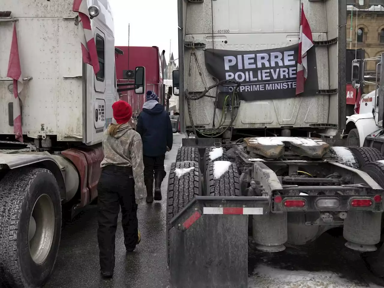 Pierre Poilievre stands by 'Freedom Convoy' support, but will wait to weigh in on evidence