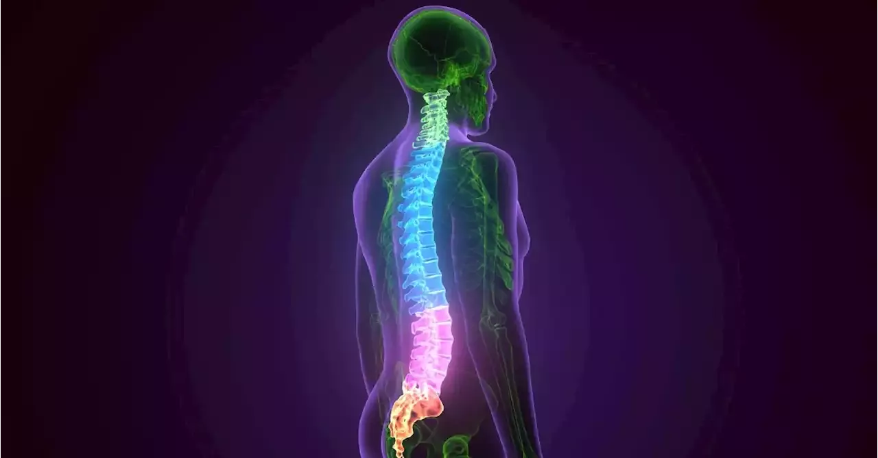 Targeting Key Cells in Spinal Cord Got Paralyzed Patients Walking Again