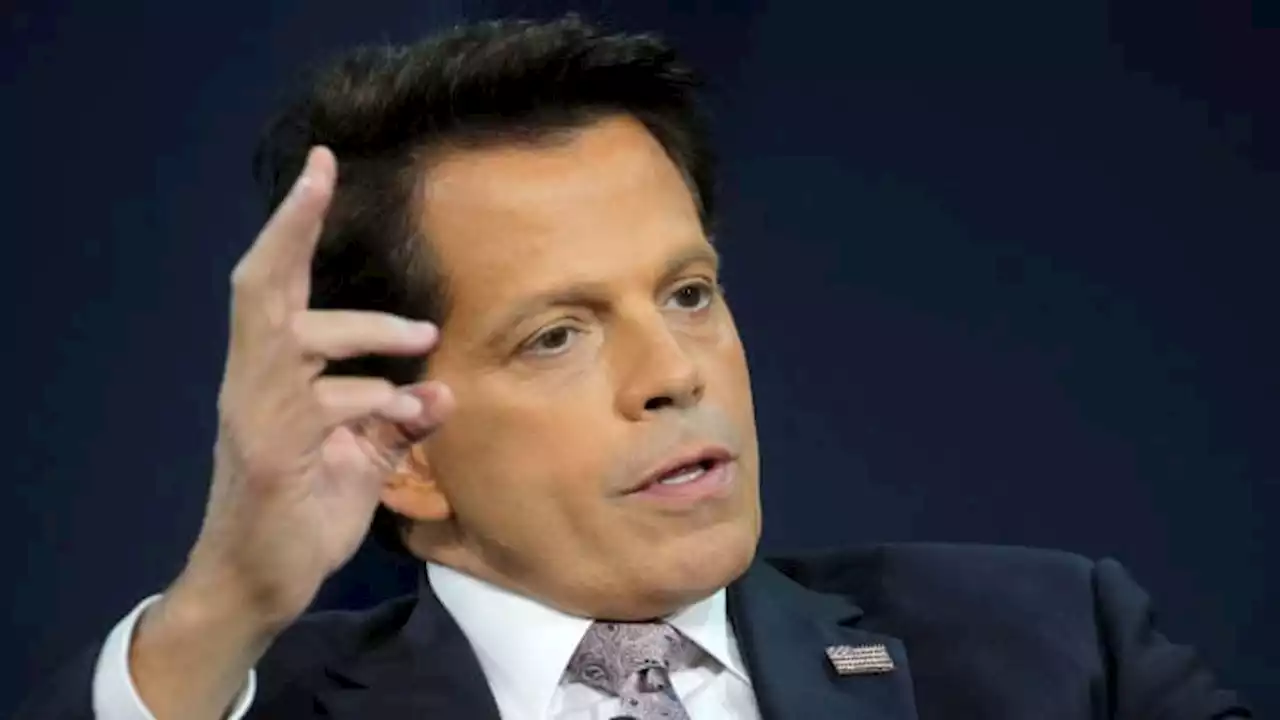 Scaramucci talks FTX, Sam Bankman-Fried and 'the worst week in cryptocurrency history'