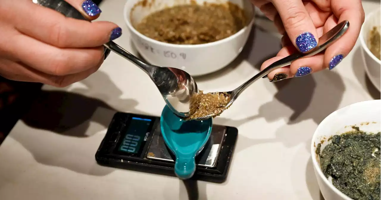 Colorado voters decriminalize psychedelic mushrooms