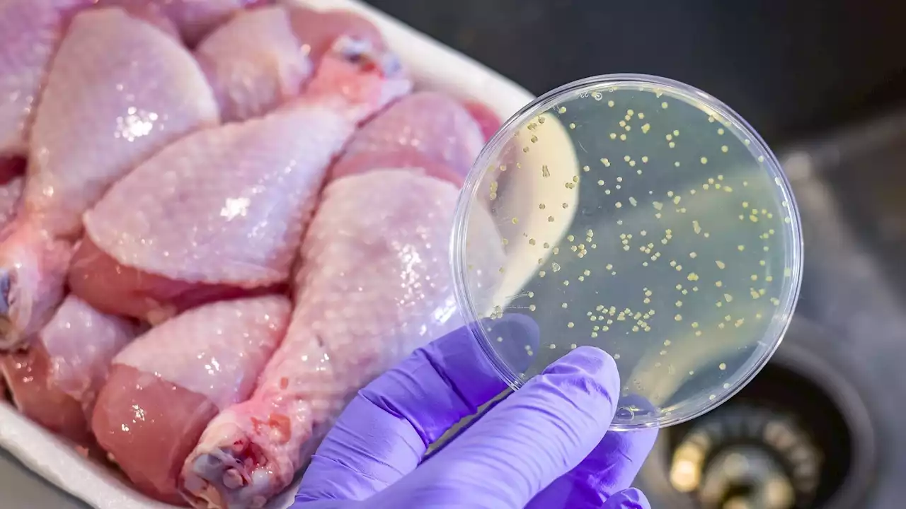 CDC warns of listeria outbreak in the US. Here's what to know