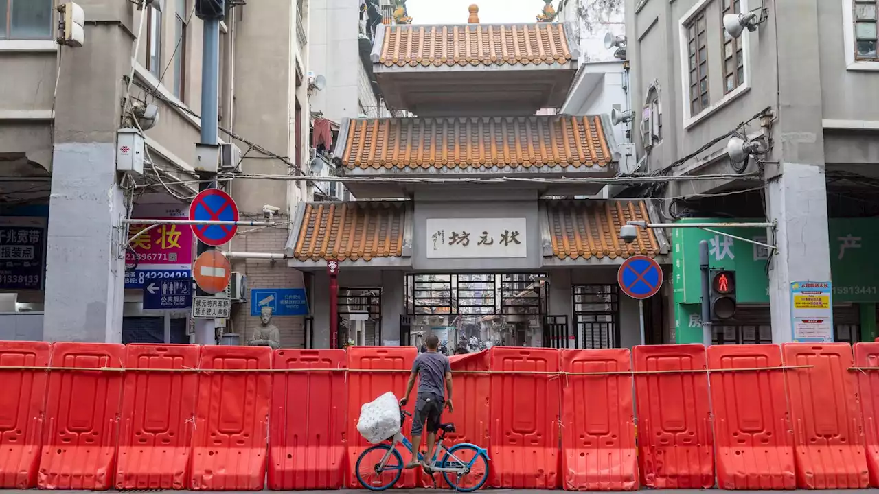 No let-up in China's zero-COVID stance as cases surge to highest since Shanghai lockdown