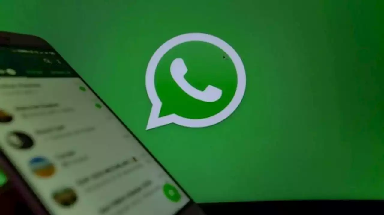 Cara Backup Data WhatsApp di Android dan Iphone yang Aman