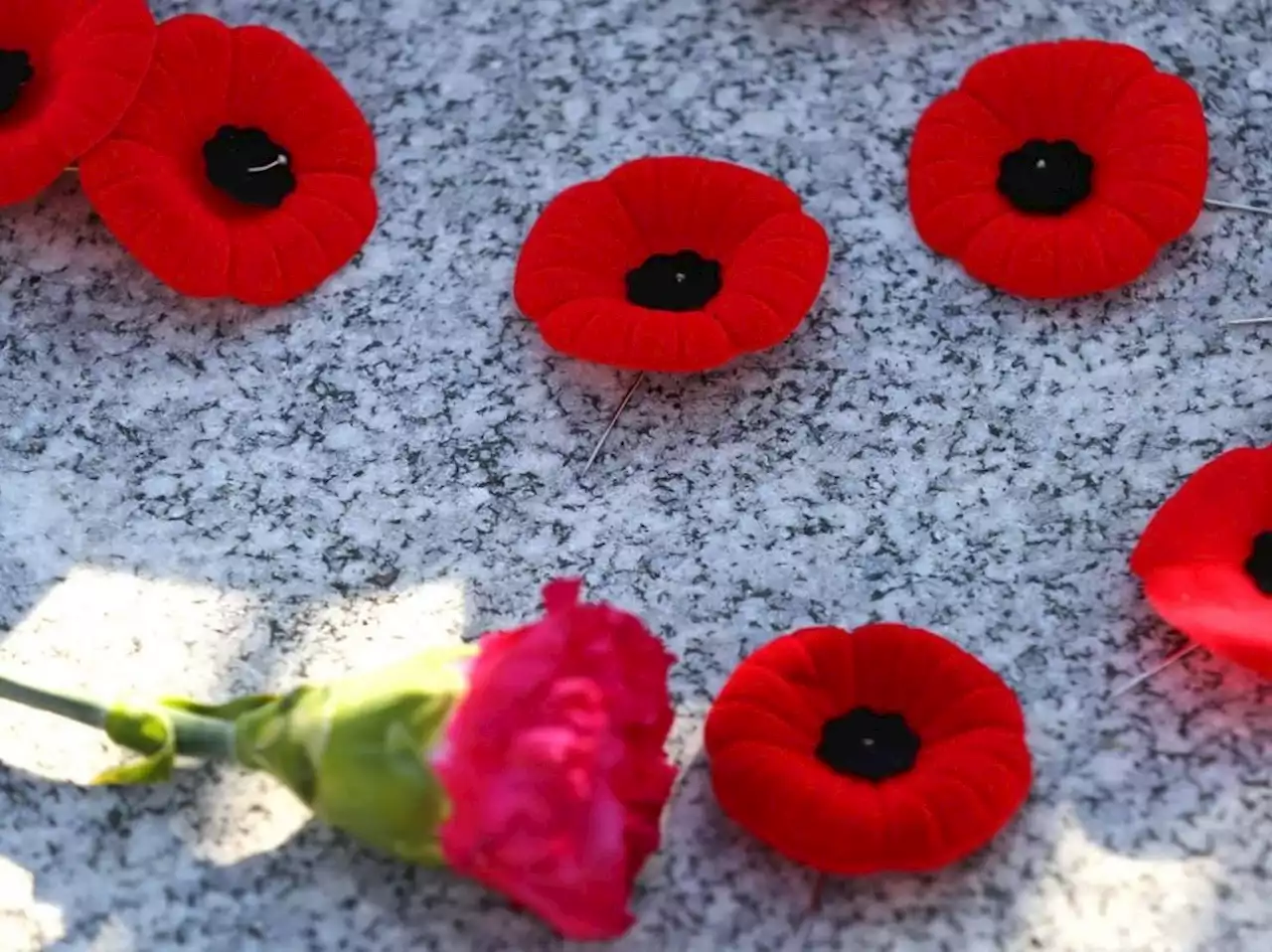 EDITORIAL: The meaning of Remembrance Day