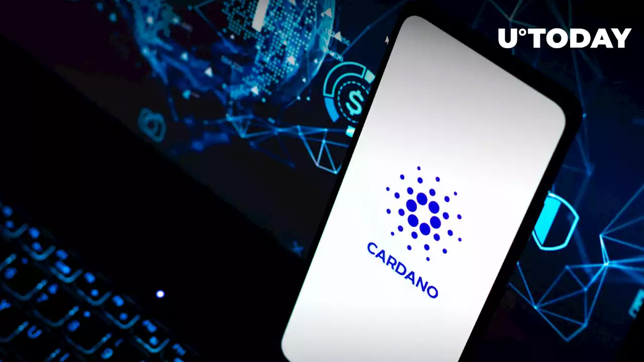 Cardano Network Activity Spikes on FTX Crash, Here's Detailed Insight