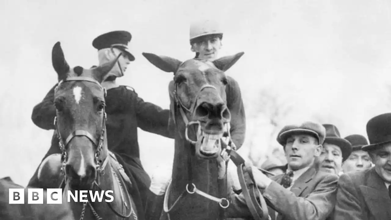 Remembrance Sunday: The WW2 pilot who won the Grand National