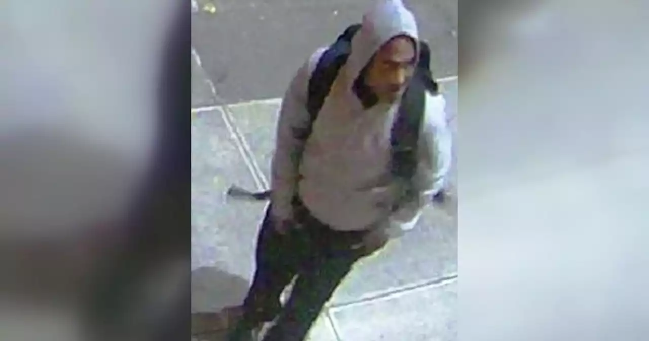 Police seek suspect accused of throwing rocks at Ramaz Middle School on Upper East Side