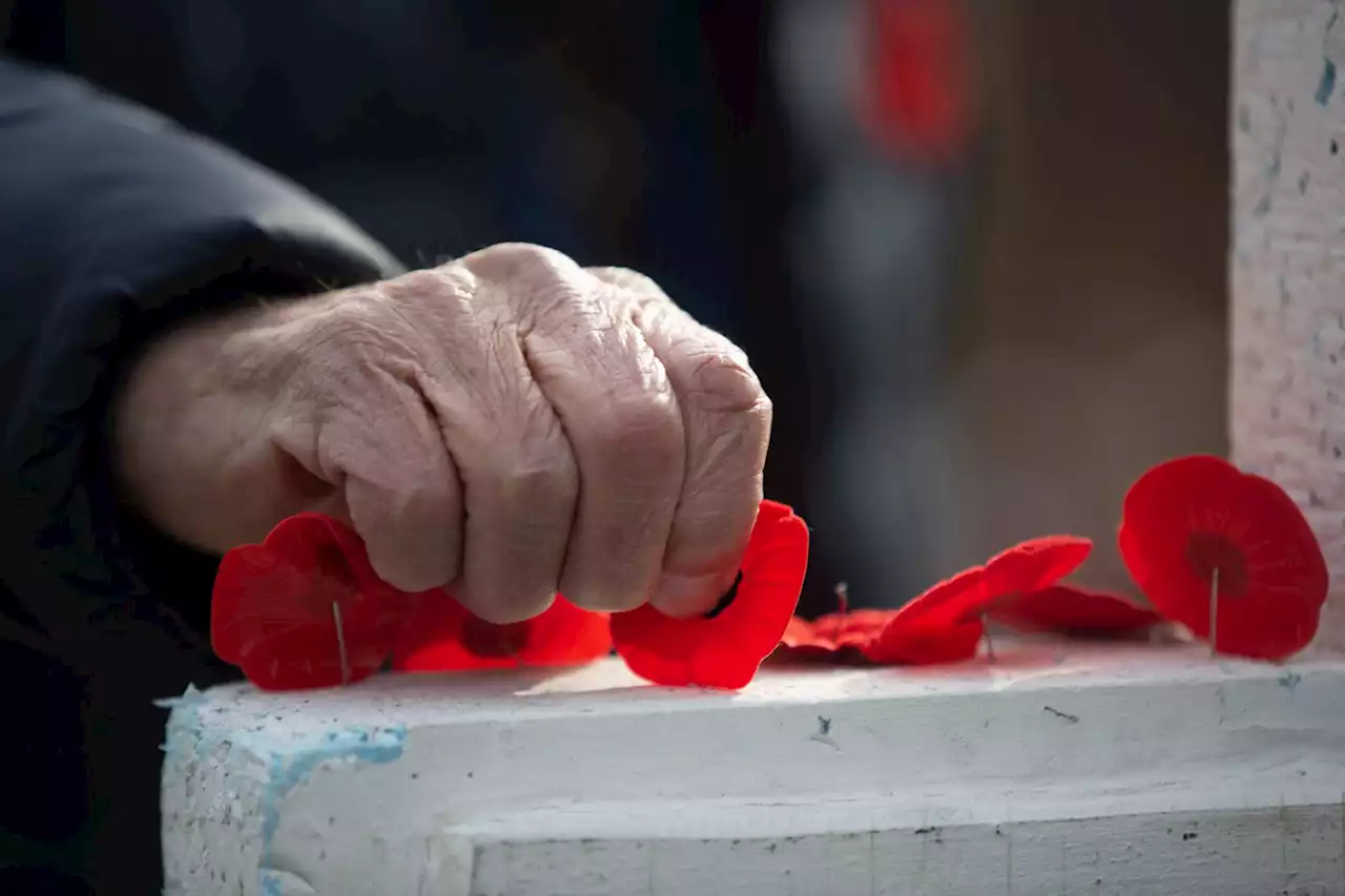 Ukraine war looms large as Canadians mark Remembrance Day