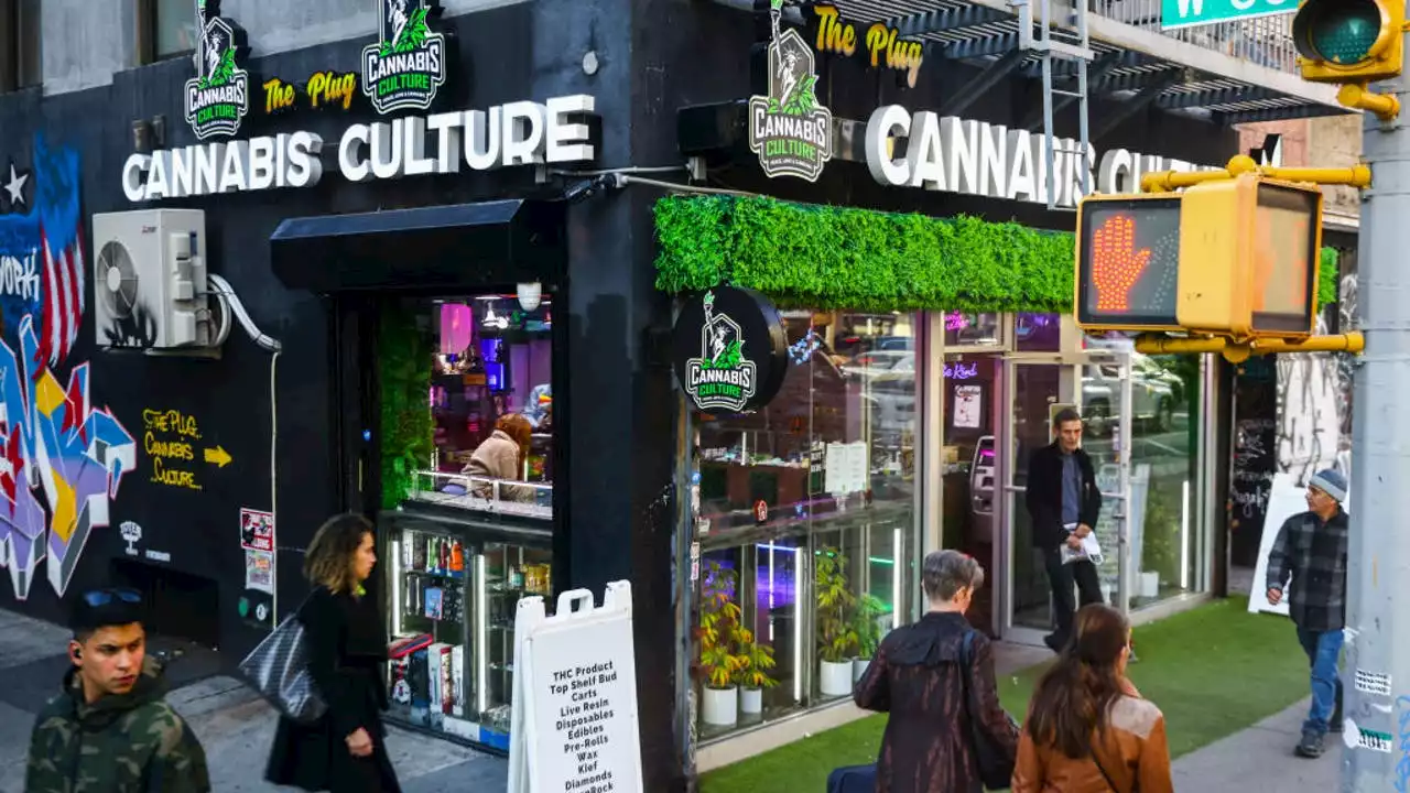 Judge halts pot dispensary licenses in parts of New York