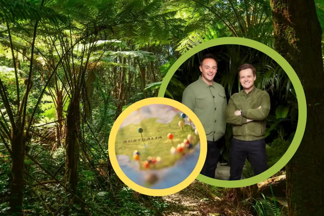 Where is I'm A Celeb filmed? See the Australian filming location