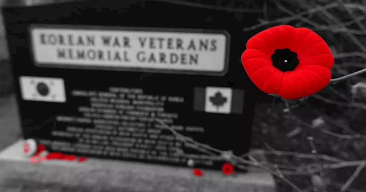 Saskatchewan filmmaker captures veterans’ stories before they are lost forever | Globalnews.ca