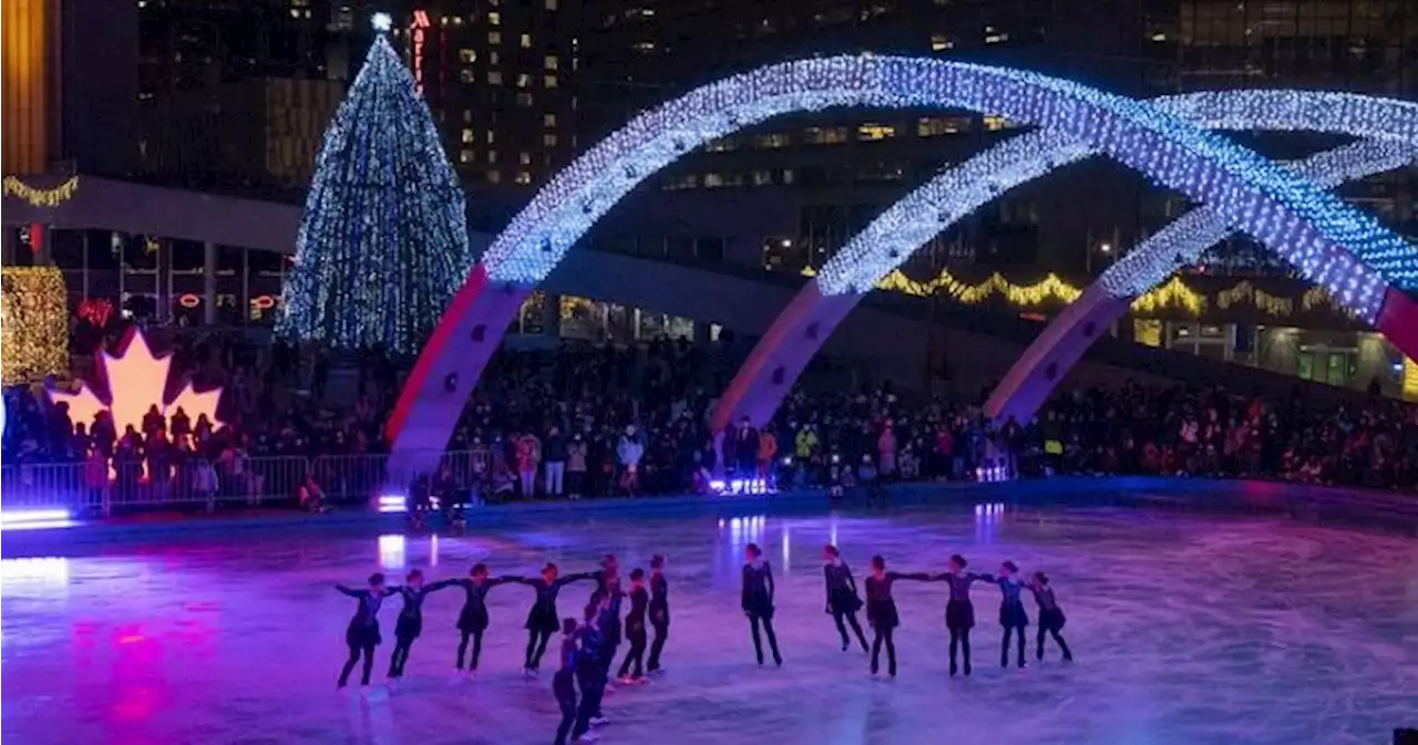 Toronto begins holiday season preparations with arrival of Christmas tree - Toronto | Globalnews.ca