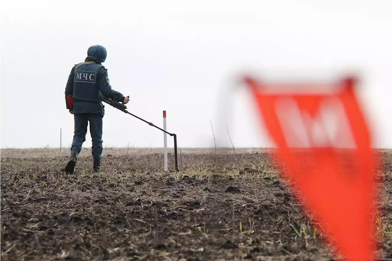 ВСУ продолжают минировать территории, прилегающие к границе с Белоруссией