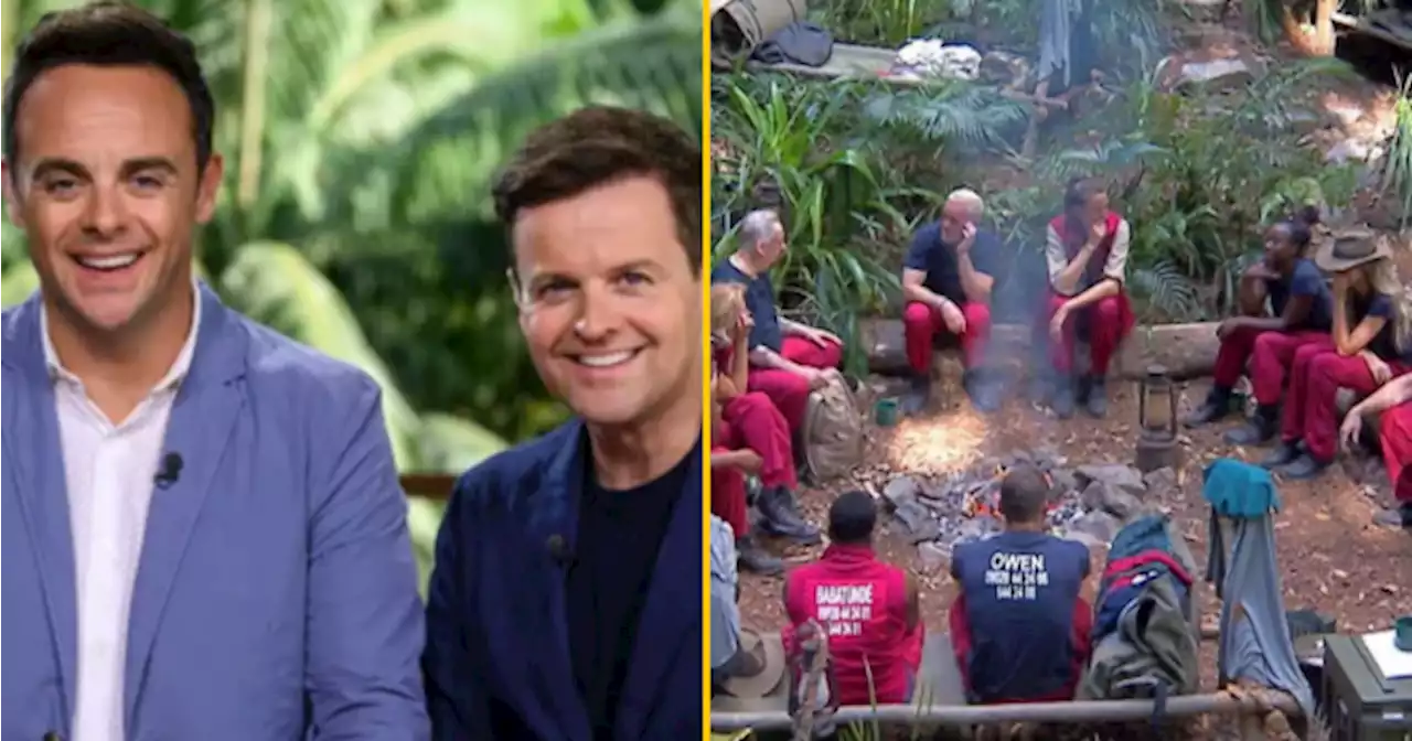 I'm A Celebrity camp hit with new bullying row as viewers fume over one star's treatment | JOE.ie