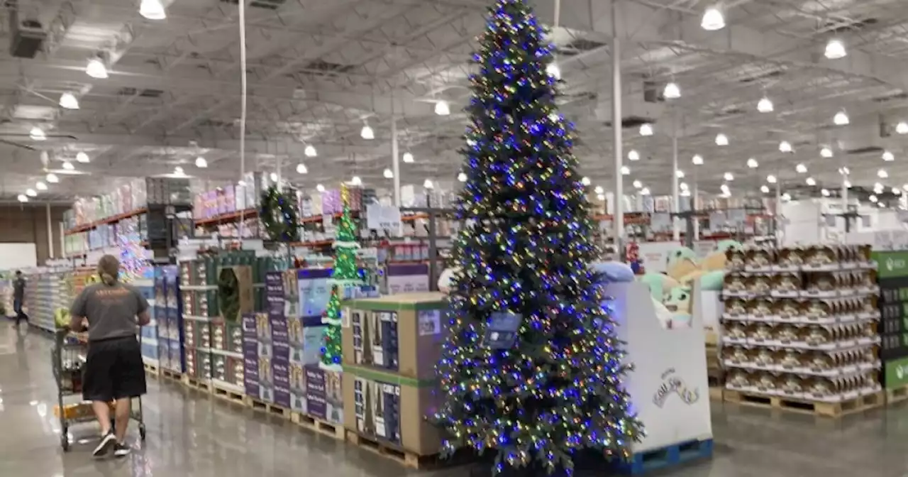 Your Christmas tree could cost you more money this holiday season