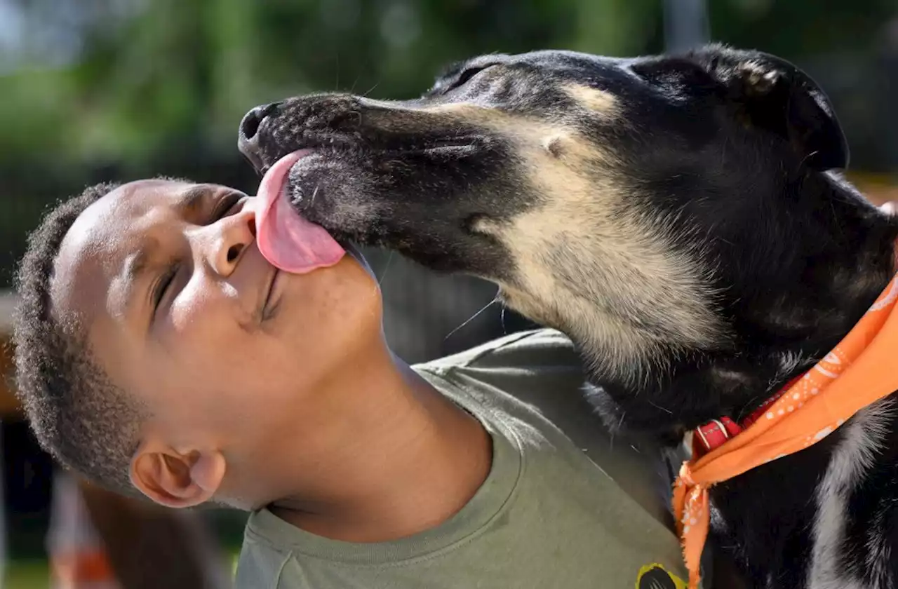 Food banks for Fido? Pet owners feeling inflation’s squeeze, too