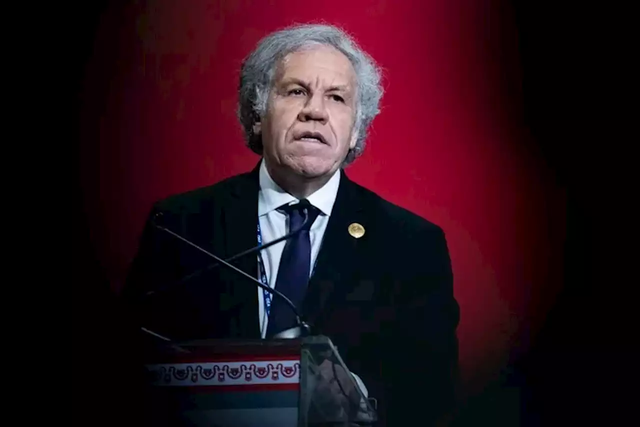 La OEA aprueba una investigación externa sobre Almagro por una relación sentimental con una subordinada