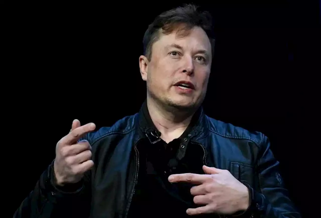 Twitter: Elon Musk da marcha atrás y suspende la verificación paga en medio de una ola de cuentas falsas