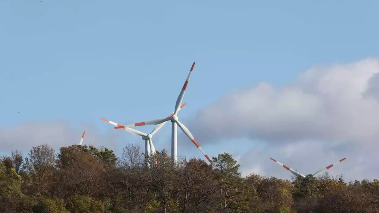 Karlsruhe kassiert generelles Windrad-Verbot im Wald