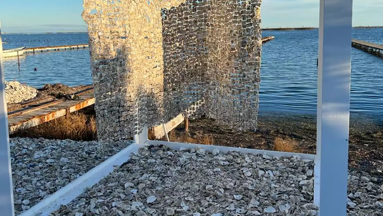 Hérault : visitez l'étonnant pavillon en coquilles d'huîtres recyclées de la maison Tarbouriech