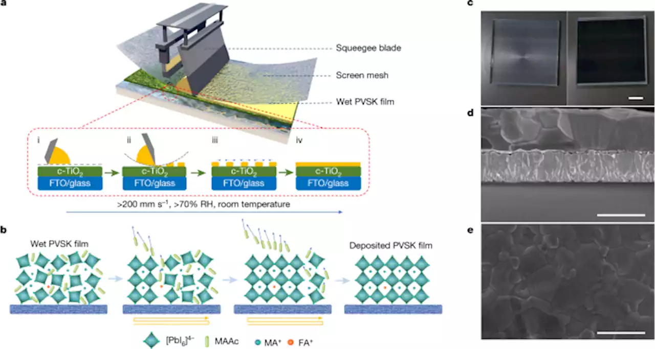 Perovskite solar cells based on screen-printed thin films - Nature