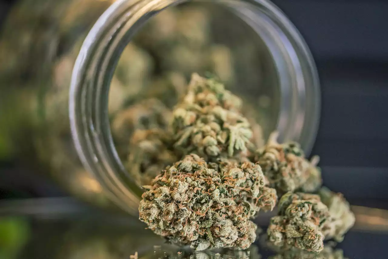 Judge Halts Pot Dispensary Licenses in Parts of New York