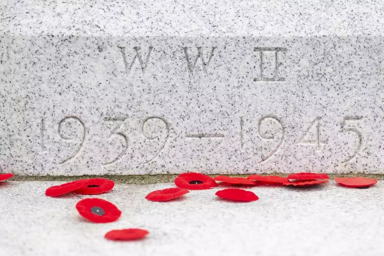 B.C. Remembrance Day ceremony draws those with families touched by war