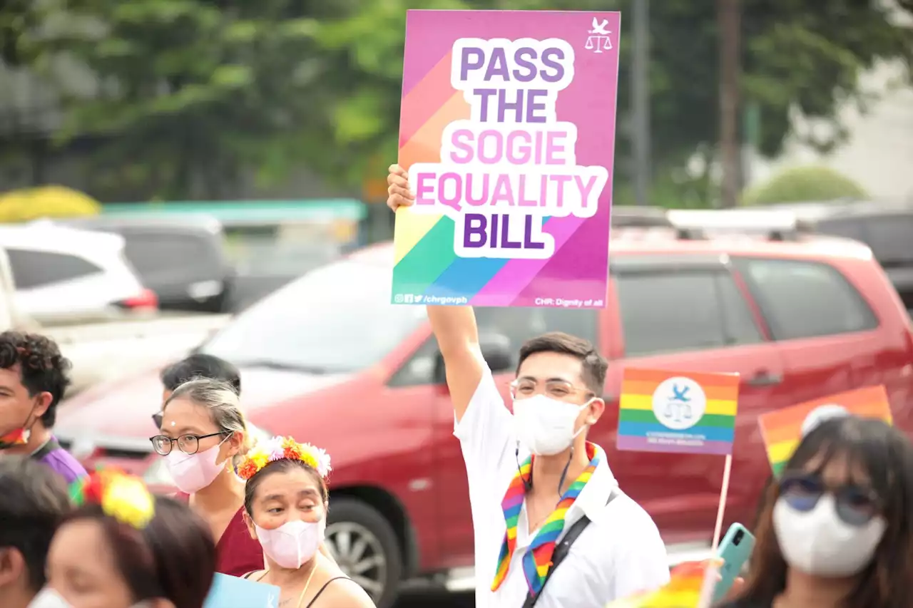 LGBTQ+ not asking for 'special rights' with SOGIE bill – expert