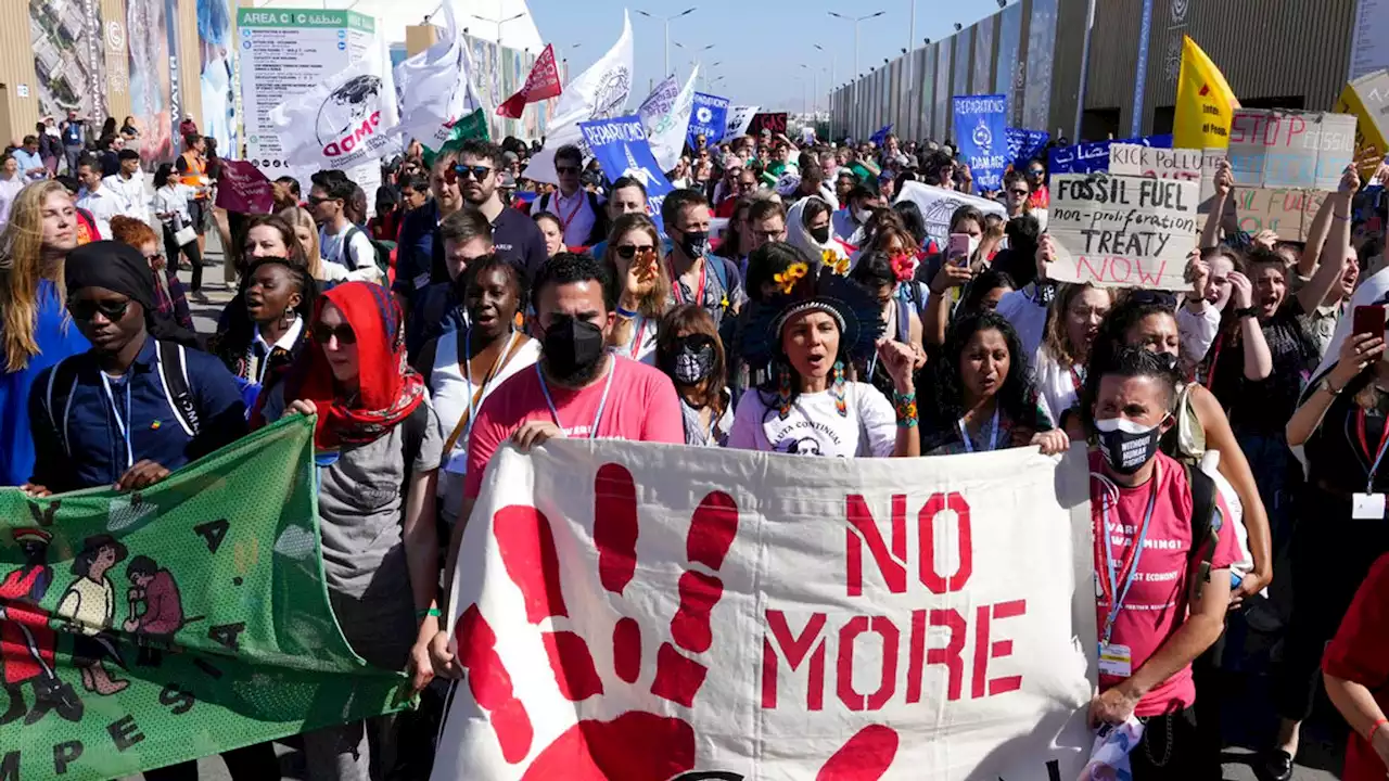 COP27: Protesters stage downsized climate change rally amid curbs on rights in Egypt