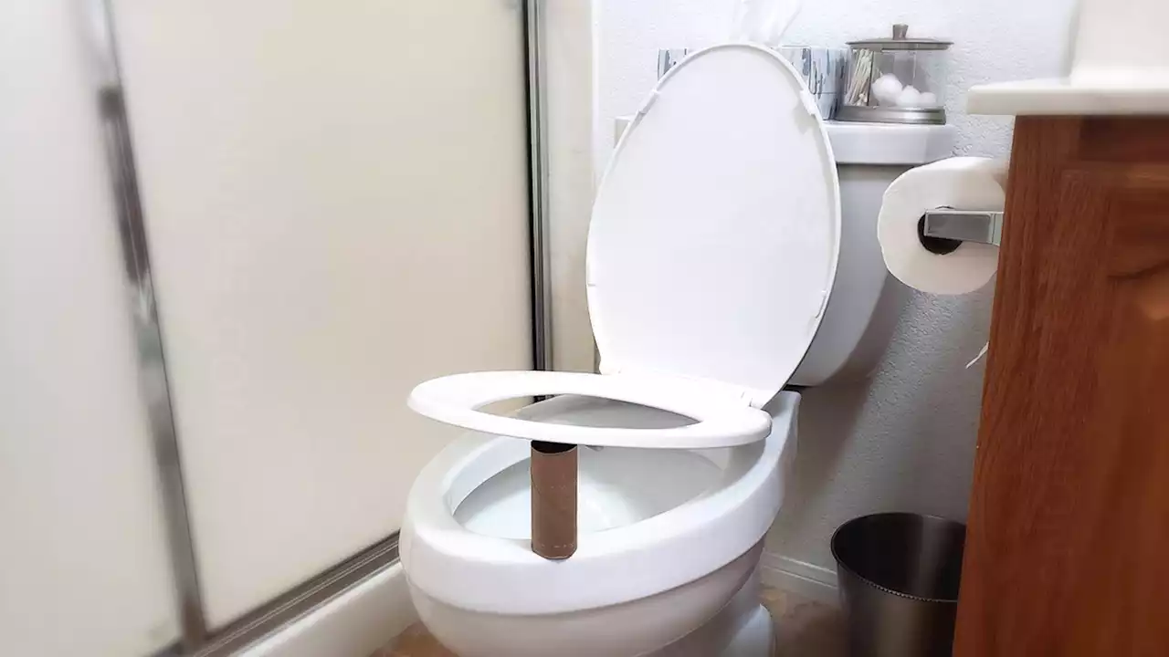 Should an Empty Toilet Paper Roll or Red Cup Be Placed Under the Toilet Seat at Night?