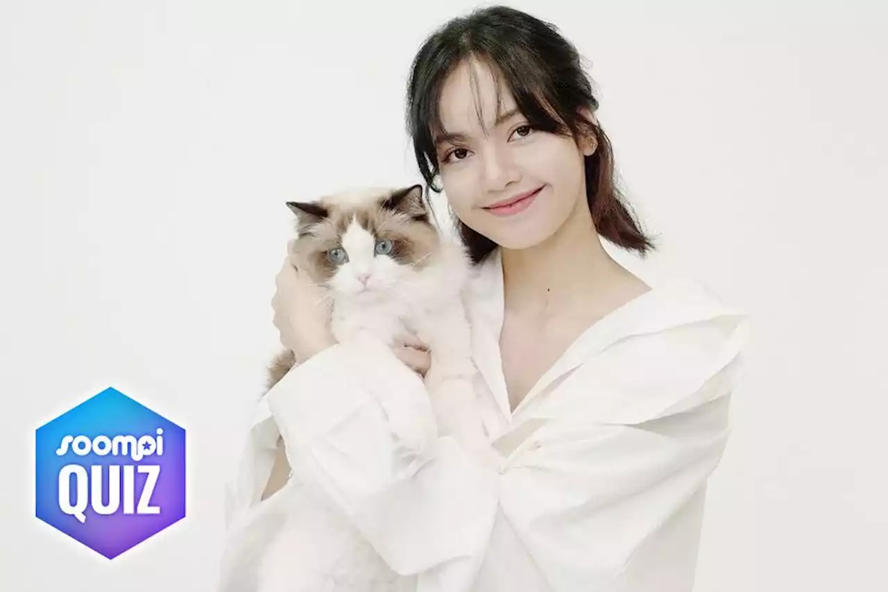 QUIZ: Calling All Cat People: Can You Match The K-Pop Idol To Their Feline Friend?