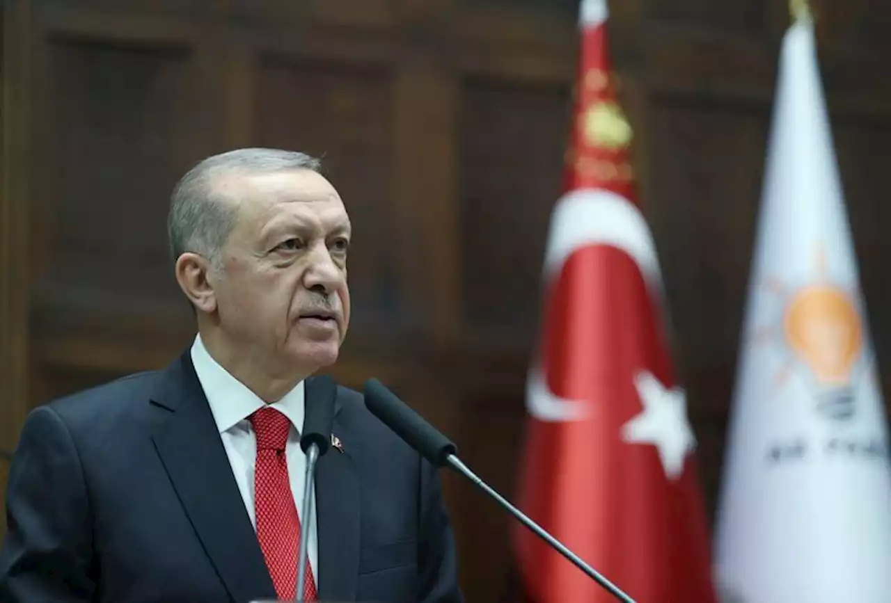 Turkey seeks Ukraine peace talks despite Western actions, Erdogan says