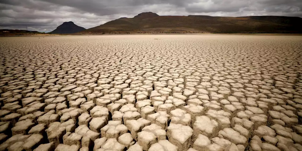 COP27: Kapitalismus muss die Welt retten