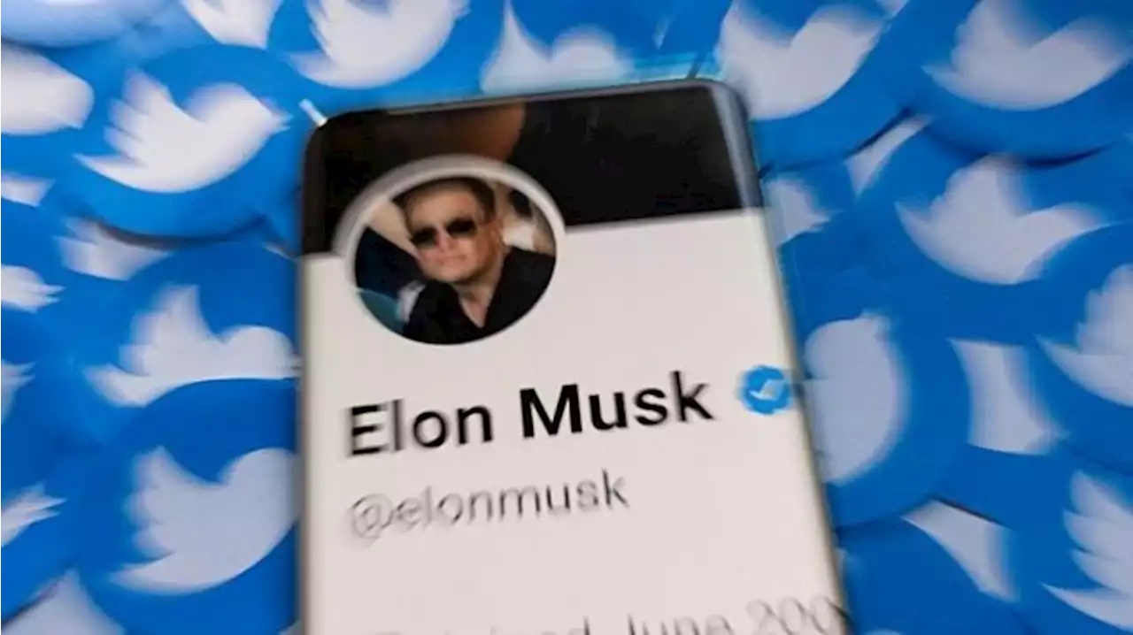 Elon Musk Batal ke Indonesia, Tetap Isi Acara B20 Secara Virtual