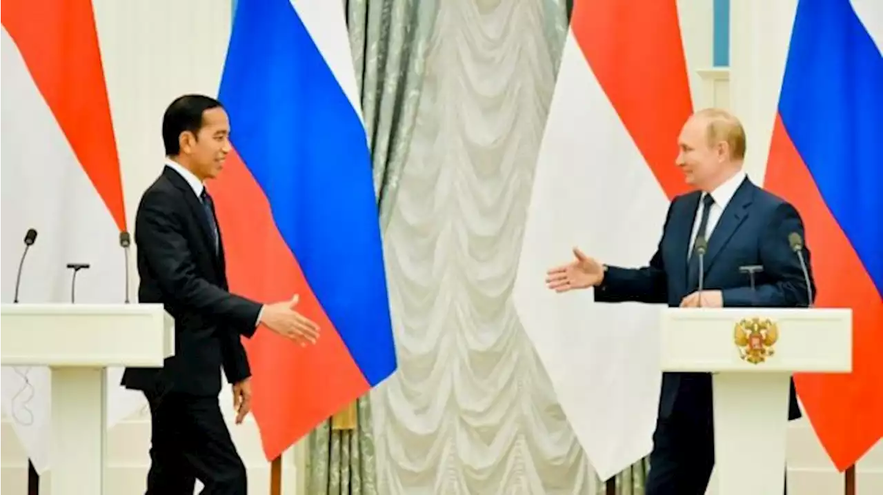 Luhut Beberkan Alasan 3 Presiden Absen di KTT G20 Bali: Putin Karena Masalah Domestik