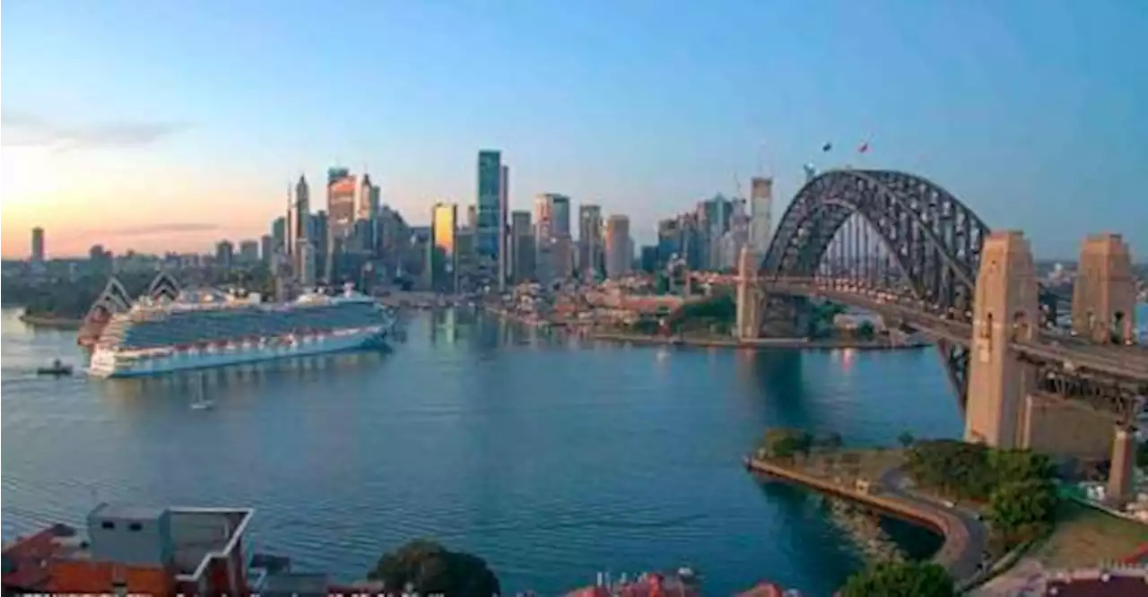 Cruise ship with 800 Covid-infected passengers docs in Sydney