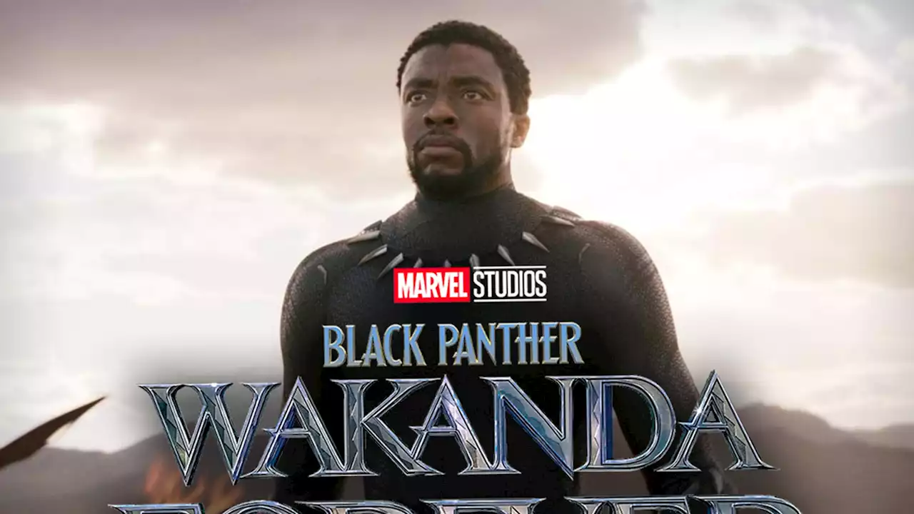 'Black Panther' Sequel Leaves Fans Divided Over T'Challa Sendoff, Segue