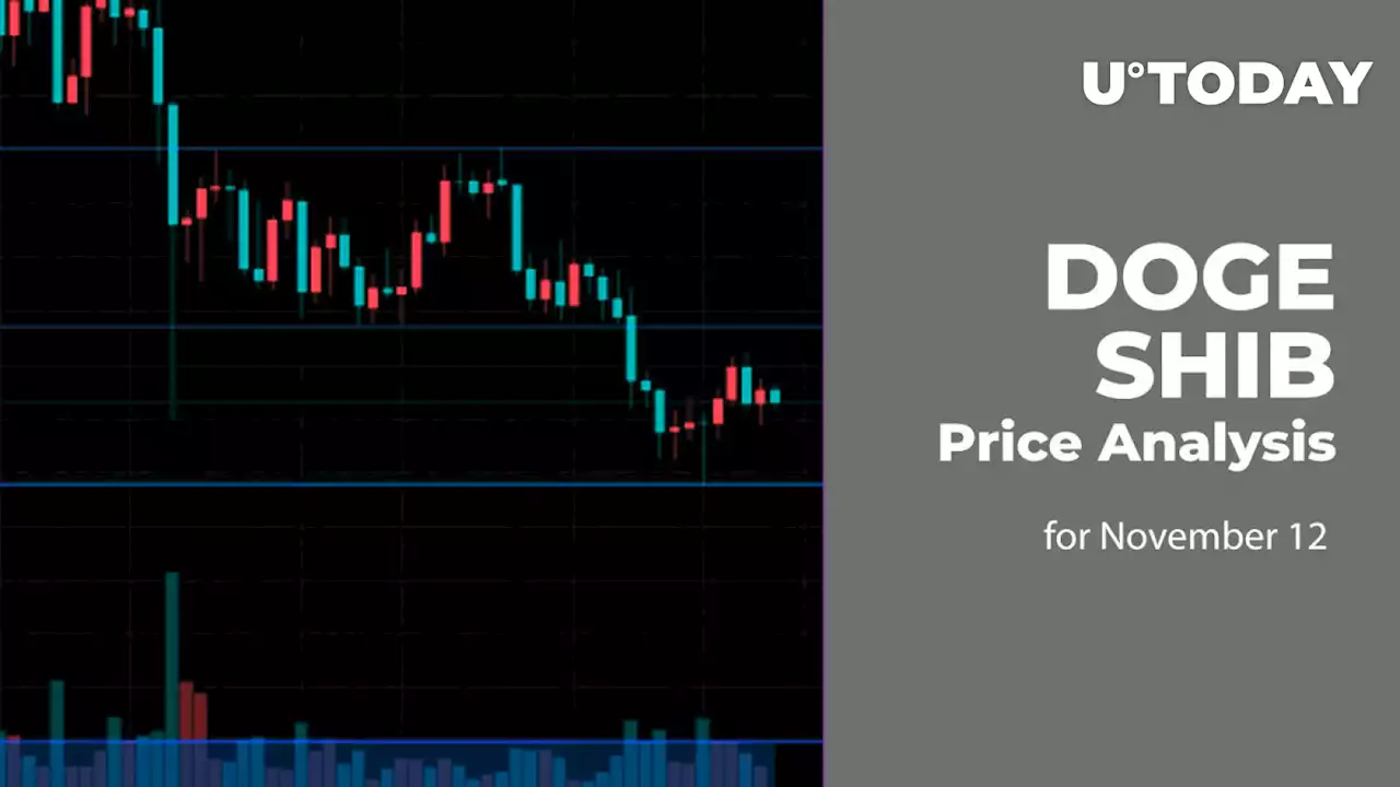 DOGE and SHIB Price Analysis for November 12