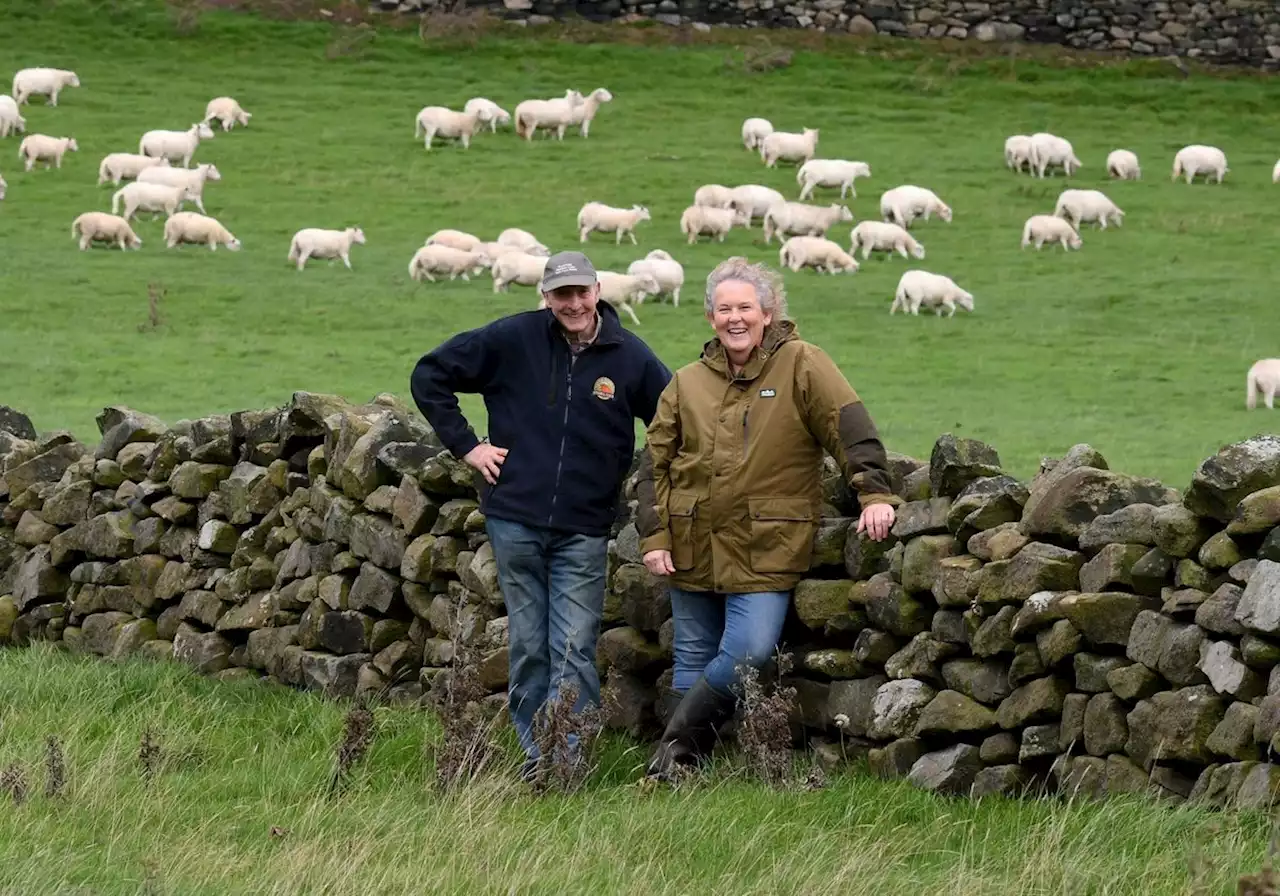 Farm of the Week: Former university scientist turned cattle breeder on the Yorkshire moors